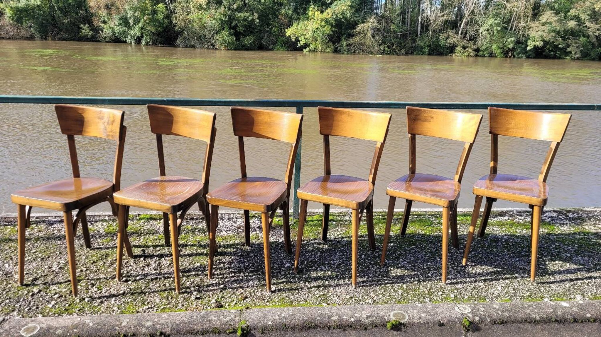 Series of 6 vintage old restaurant bistro chairs - 1950s