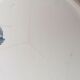 Plat creux terre de fer Marie-Louise Saint Amand et Hanage