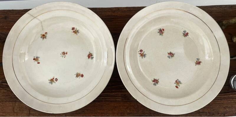 Set of 2 floral porcelain soup plates