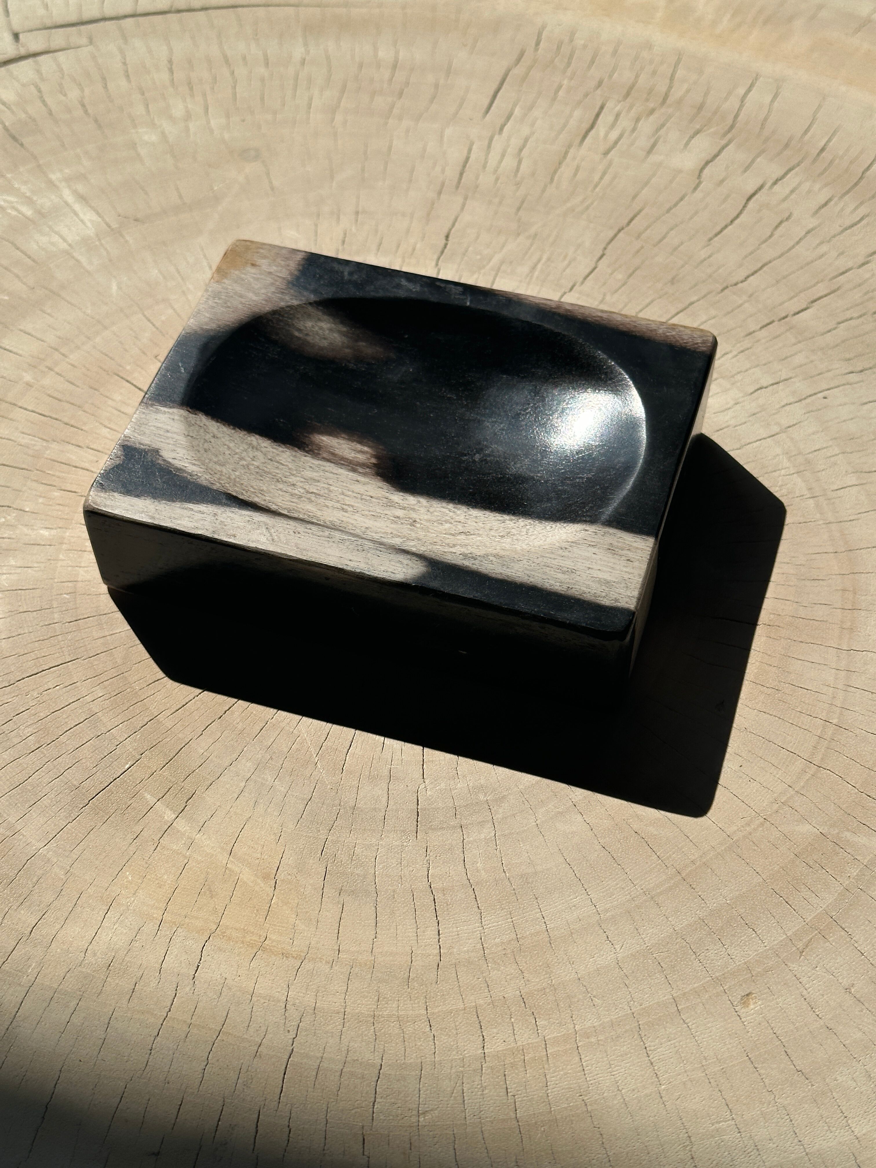 Symmetrical multicolored petrified wood soap dish