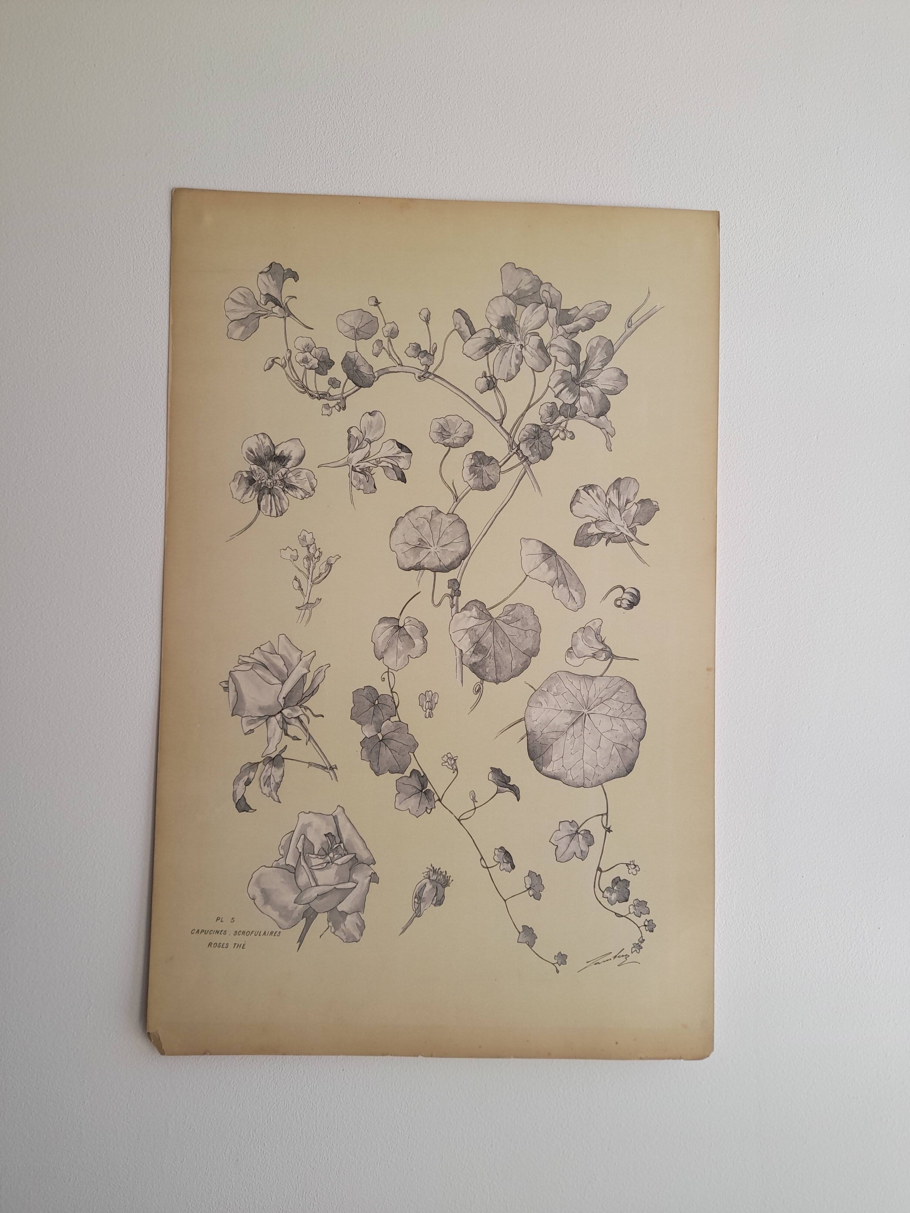 Botanical plate