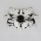 Banci Firenze wall or ceiling light with 6 lights, Italy, 1950s