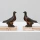 Pair of Art Deco marble and bronze “Dove” bookends, France 1930s