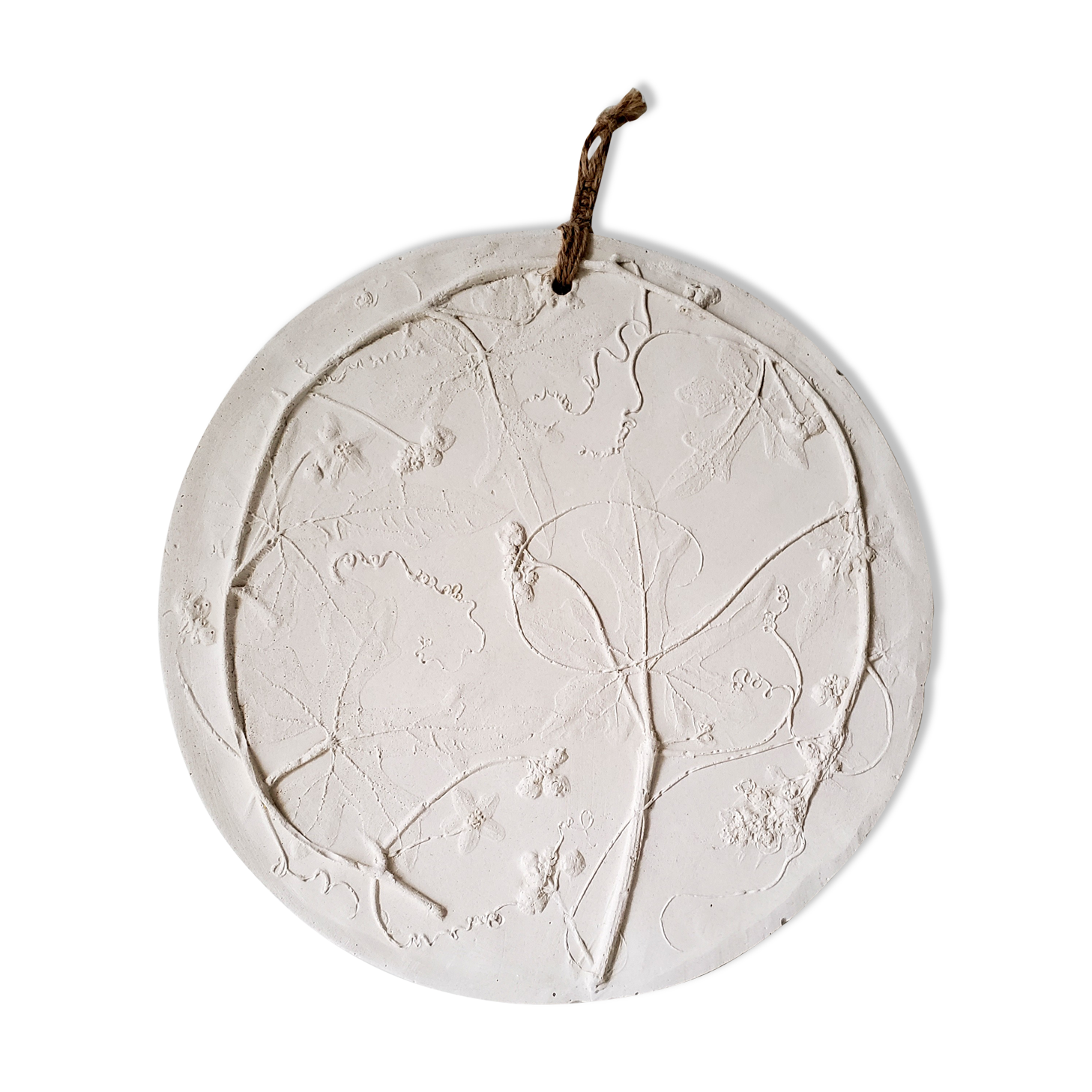 Plaster plant footprint