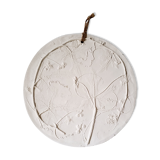 Plaster plant footprint