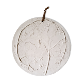 Plaster plant footprint