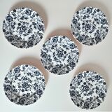 5 dessert plates