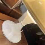 Tulip lamp