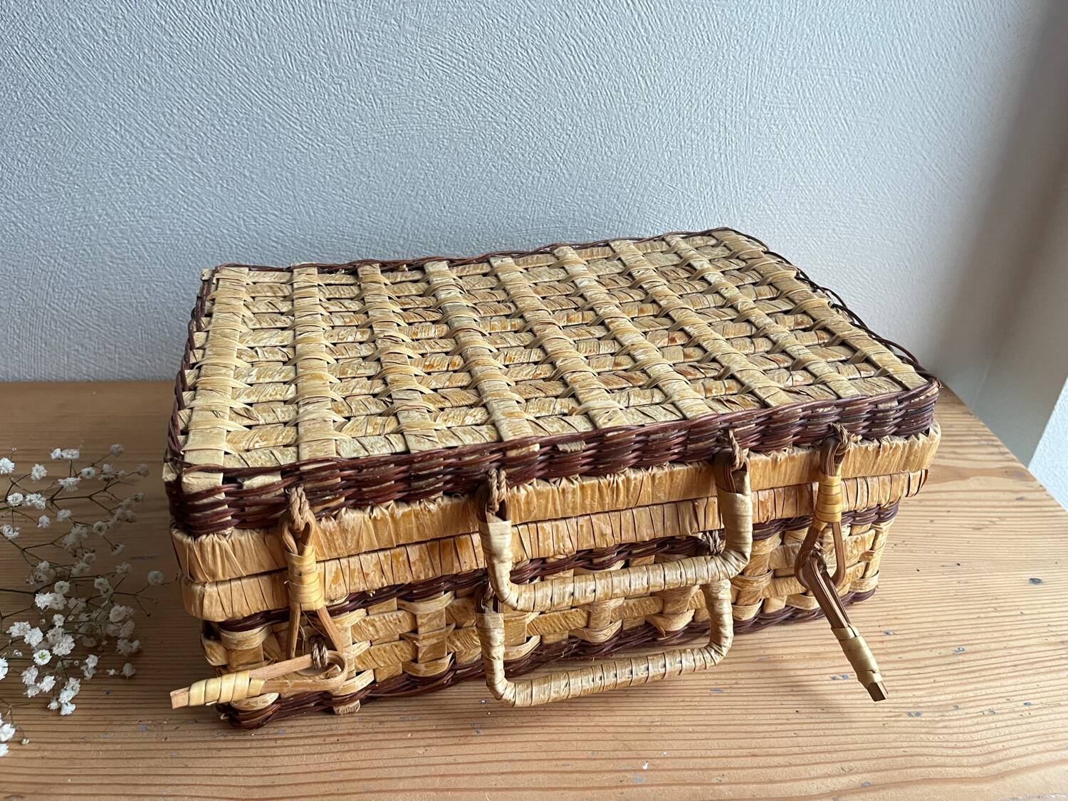Vintage wicker basket / case