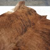 Large Zebu cowhide / rug, Brazil