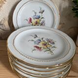 Service of 9 porcelain plates limoges