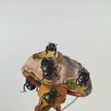 Vintage Insect Print, Old Illustration from the 60s