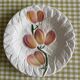 9 dessert plates and 1 barbotine dish from Sarreguemines