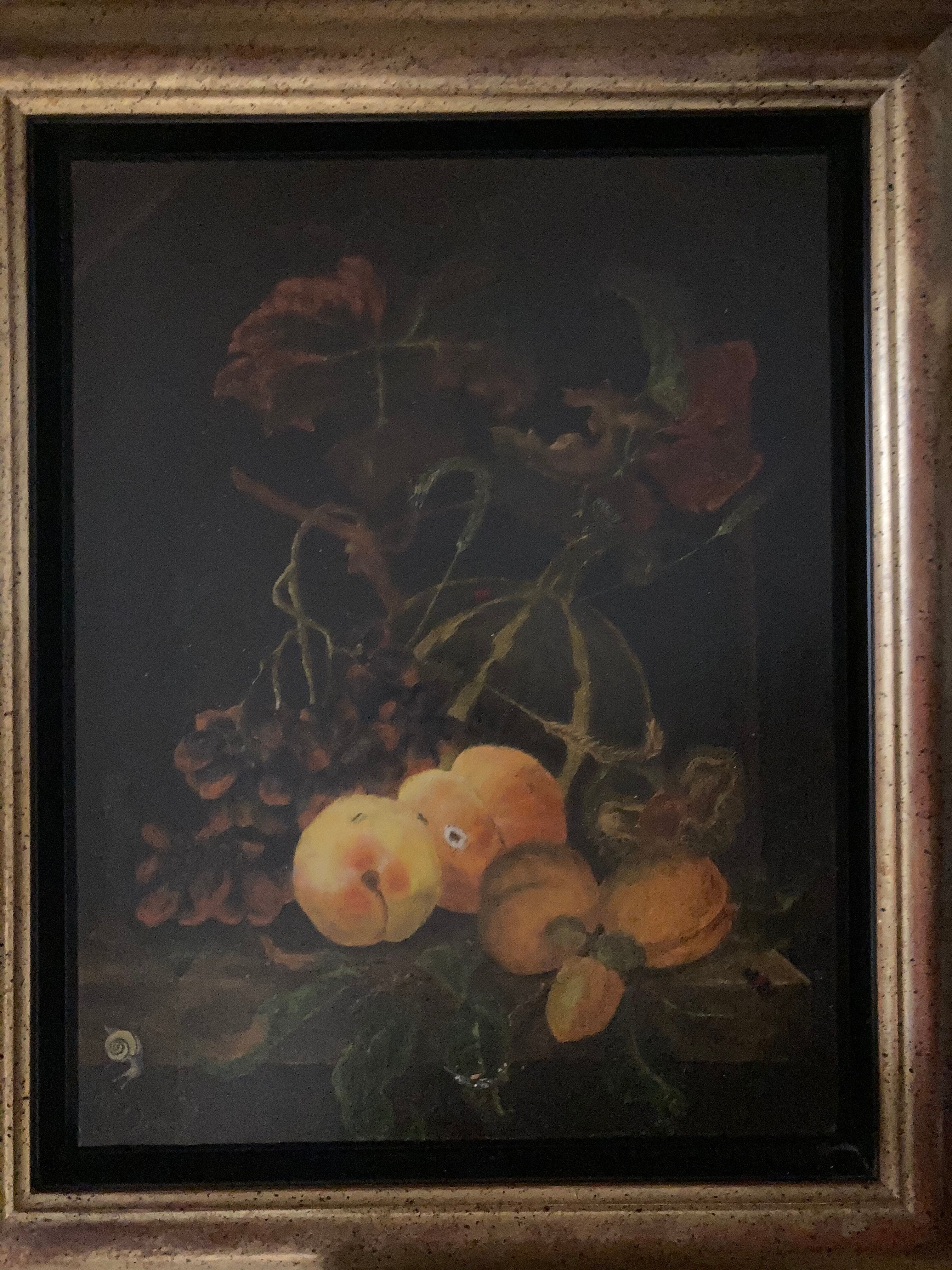 Nature morte aux insectes
