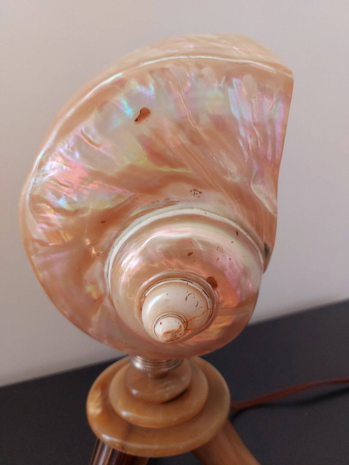 Vintage shell lamp