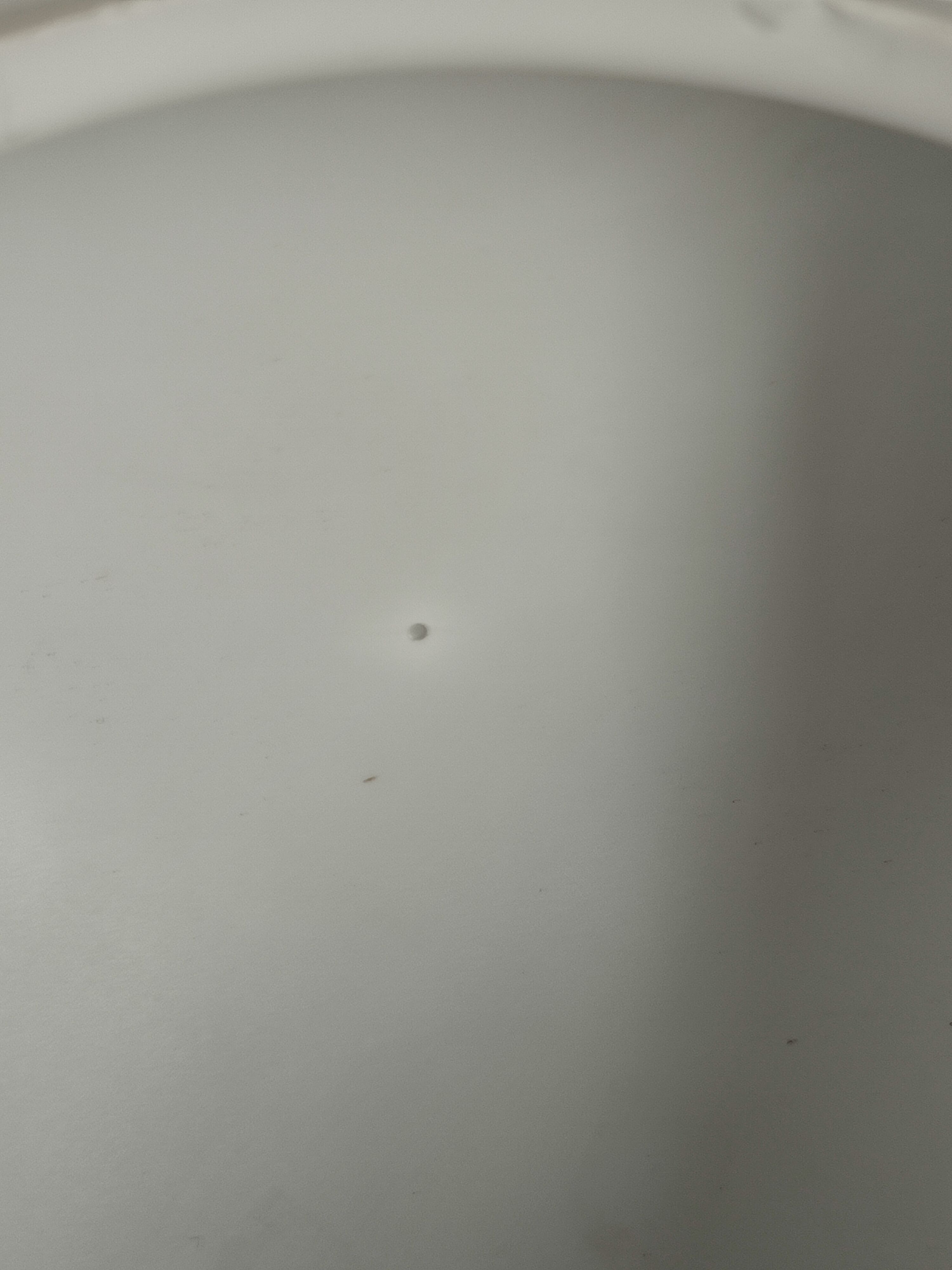 Small wall lamp/old ceiling lamp in opaline