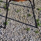 Pair of tonneau chairs by Pierre Guariche plywood base tubes 1954