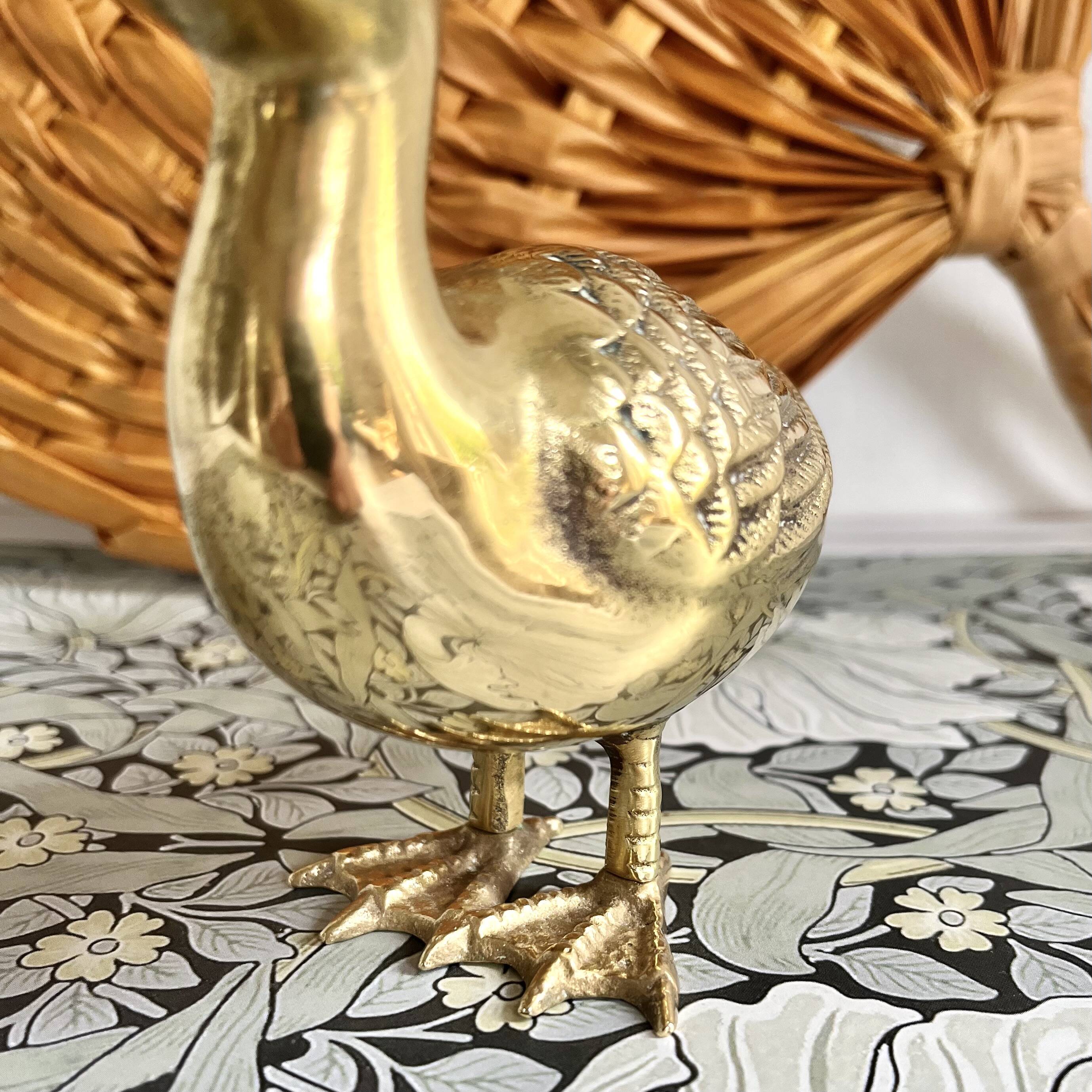 Brass duck