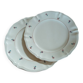 2 old plates from Digoin and Sarreguemines.