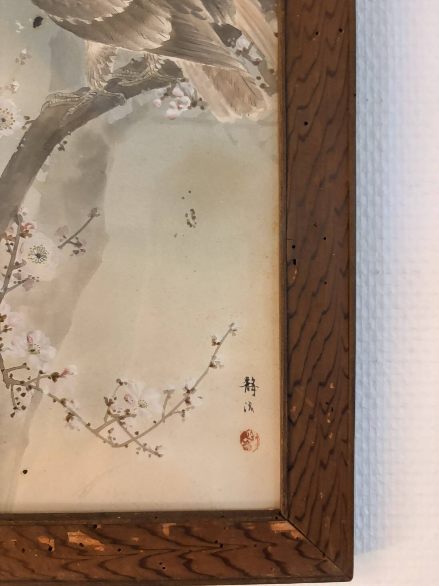 Japanese Sumi-e Painting Eagle Plum Blossom Japan Kakemono Kacho-ga