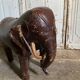 Elephant Dimitri Omersa