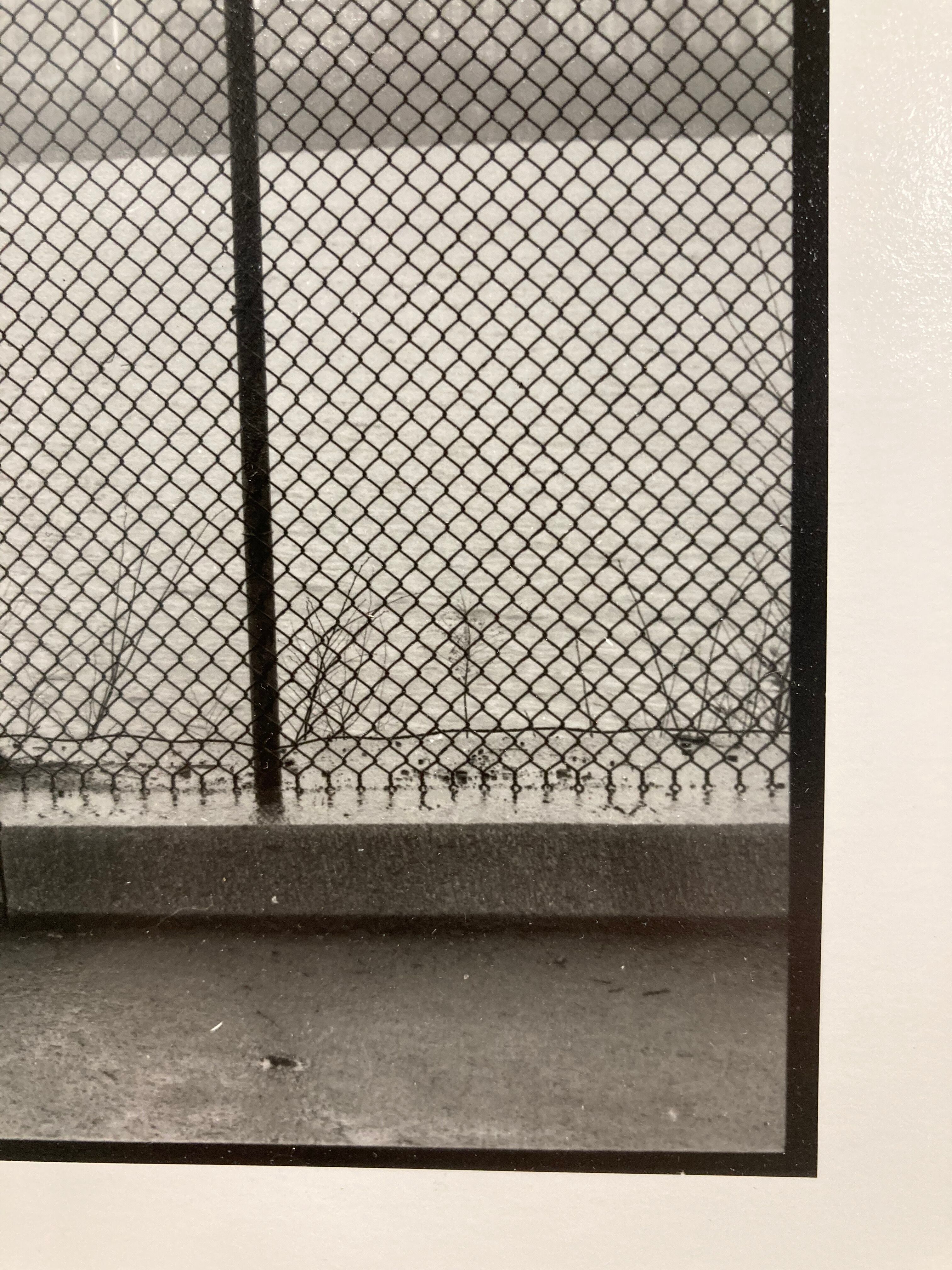 Landscape film photography