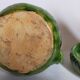 Duo of vintage potter's ceramic candle holders Regional Folk Art