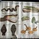 Old school poster Rossignol – Viper & Lizard / Bird families