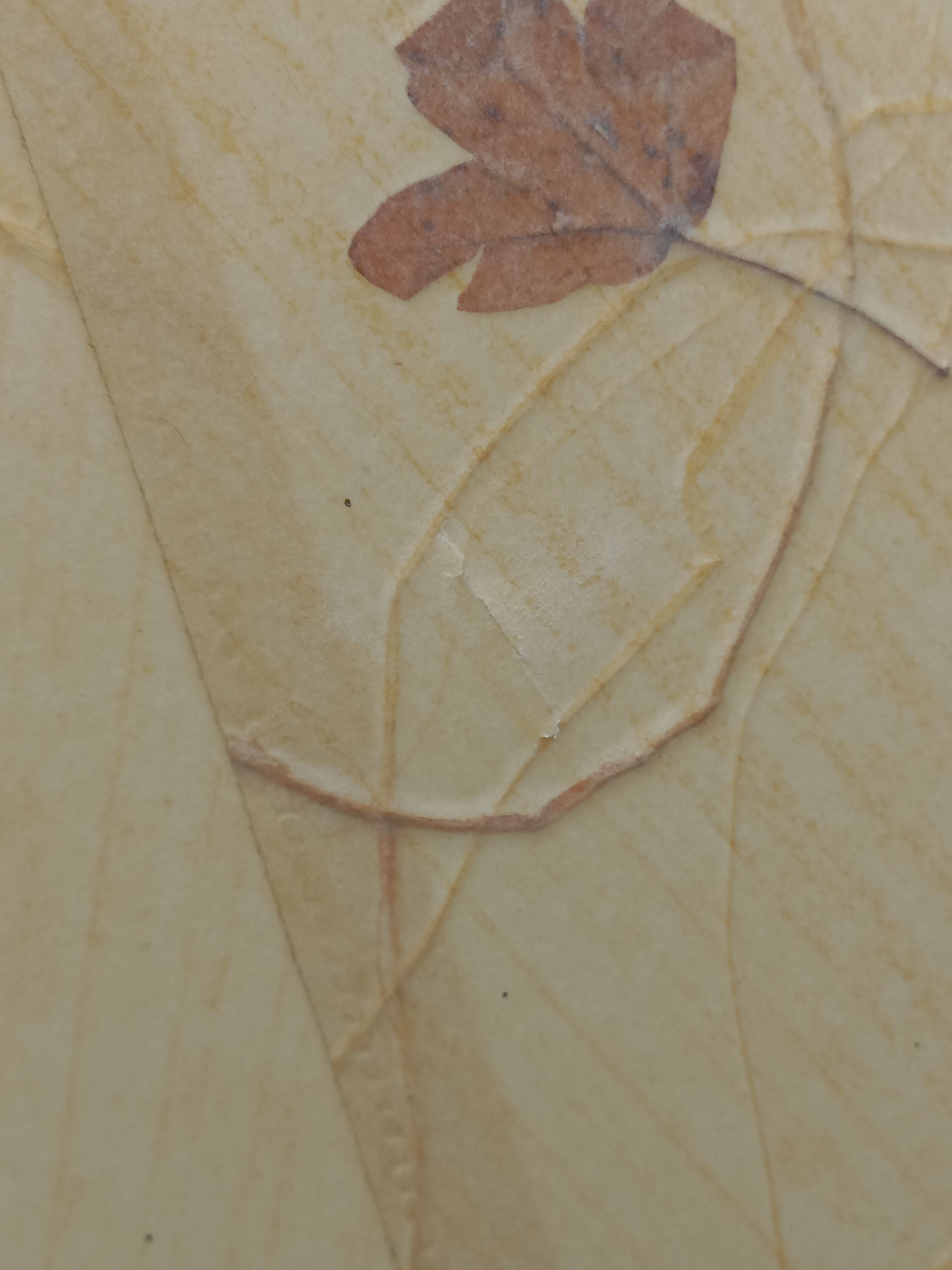 Ceramic lamp by Vallauris Fonck and Matéo lampshade of origin