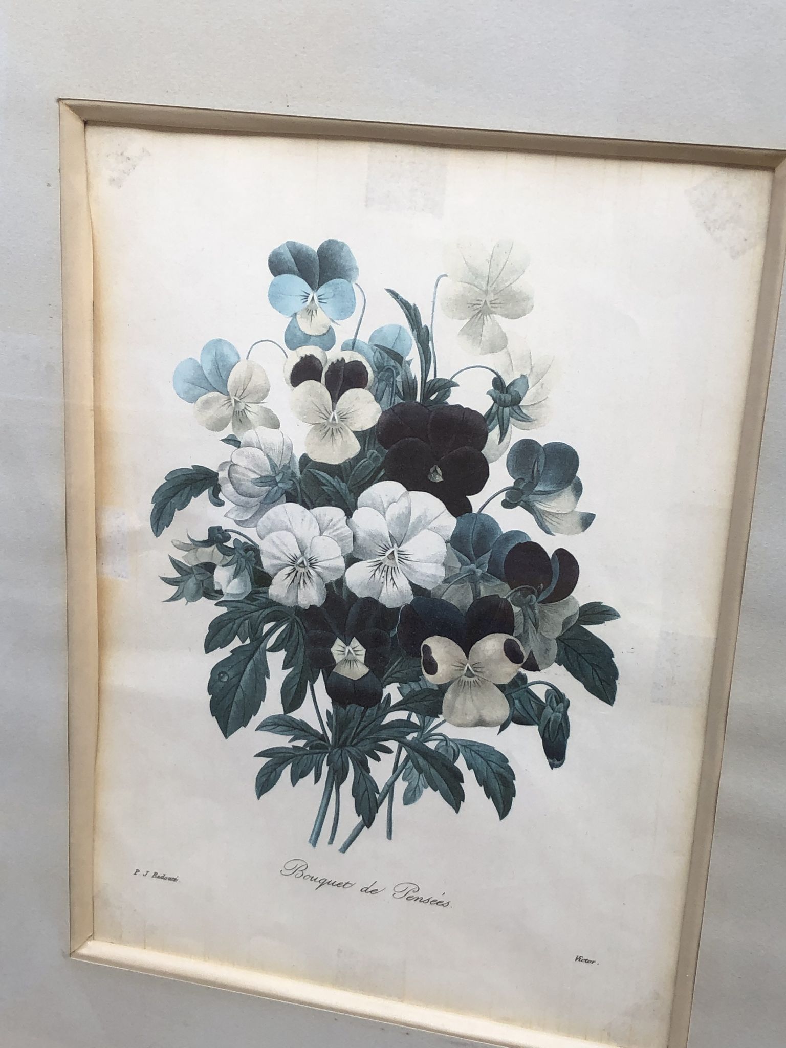 Former botanical board gilded frame PJ Redouté "Bouquet of Thoughts" Printing Victor 19th