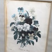 Former botanical board gilded frame PJ Redouté "Bouquet of Thoughts" Printing Victor 19th