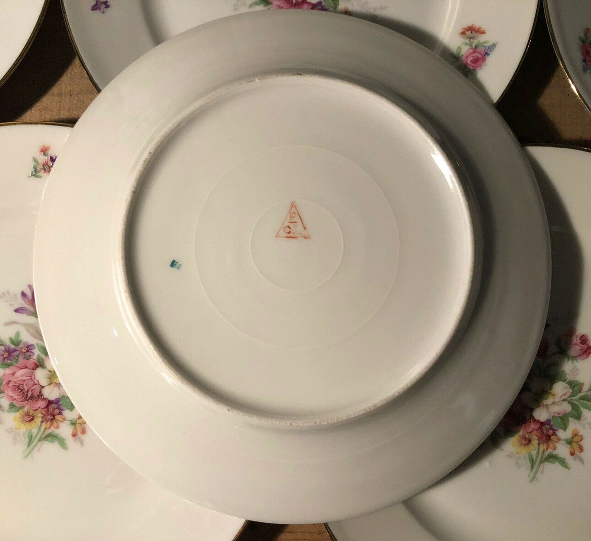 Set of 12 dessert plate in Limoges porcelain PCL with floral decoration