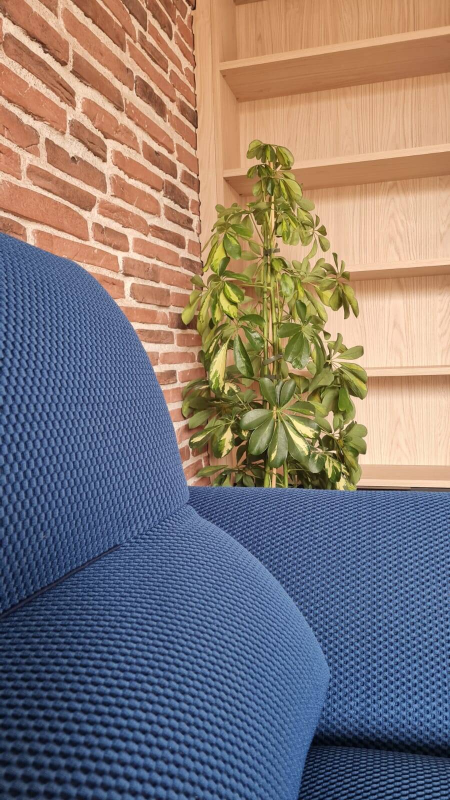 Canape contemporain aerre italia bleu 2 places