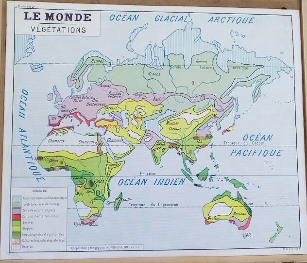 School poster wall map rossignol montmorillon le monde vegetation 1-2