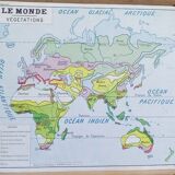 School poster wall map rossignol montmorillon le monde vegetation 1-2