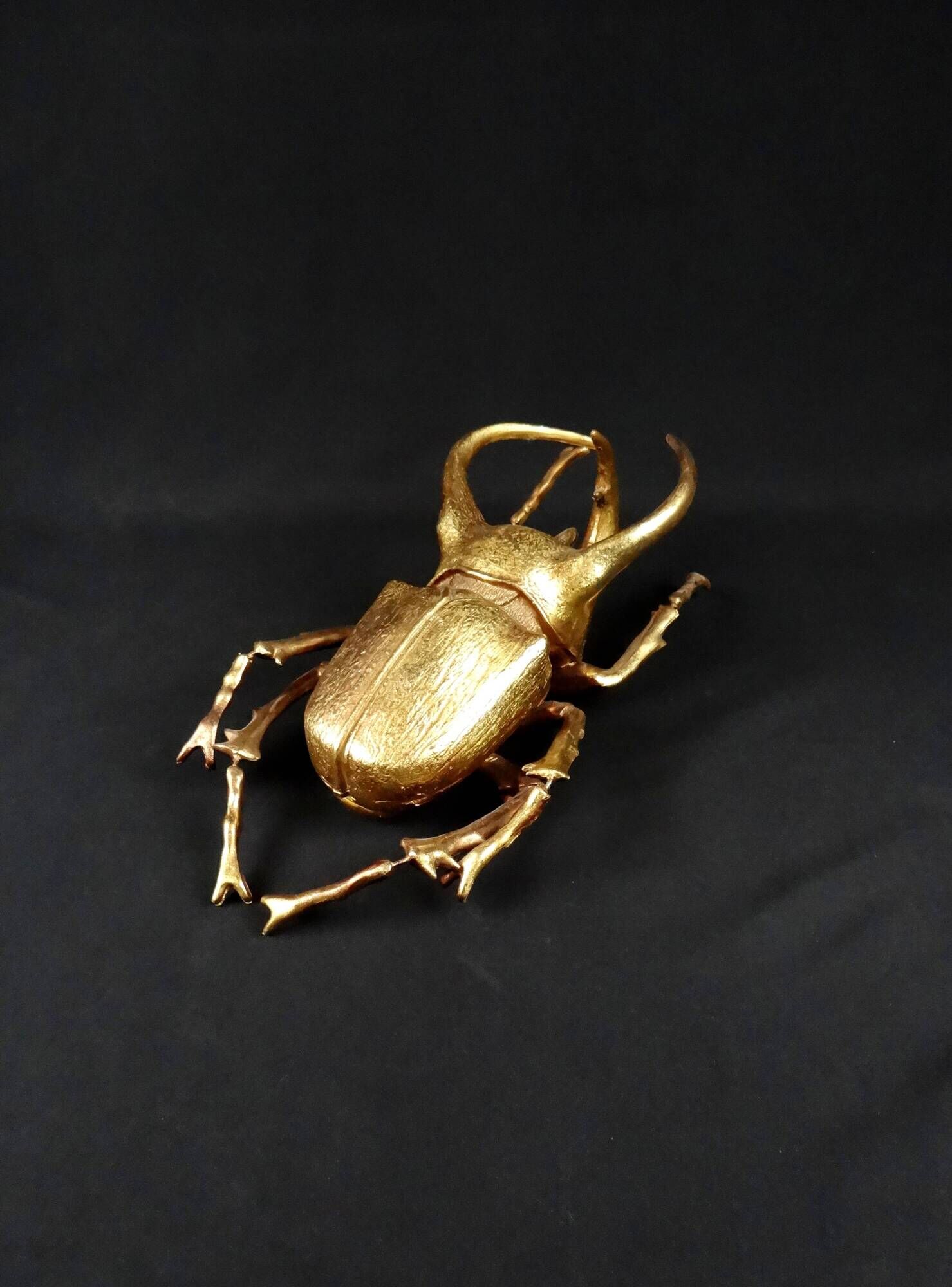 Contemporary style golden scarab wall sculpture in resin and metal