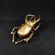 Contemporary style golden scarab wall sculpture in resin and metal