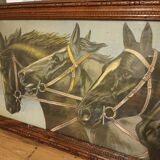 Lithographie chevaux