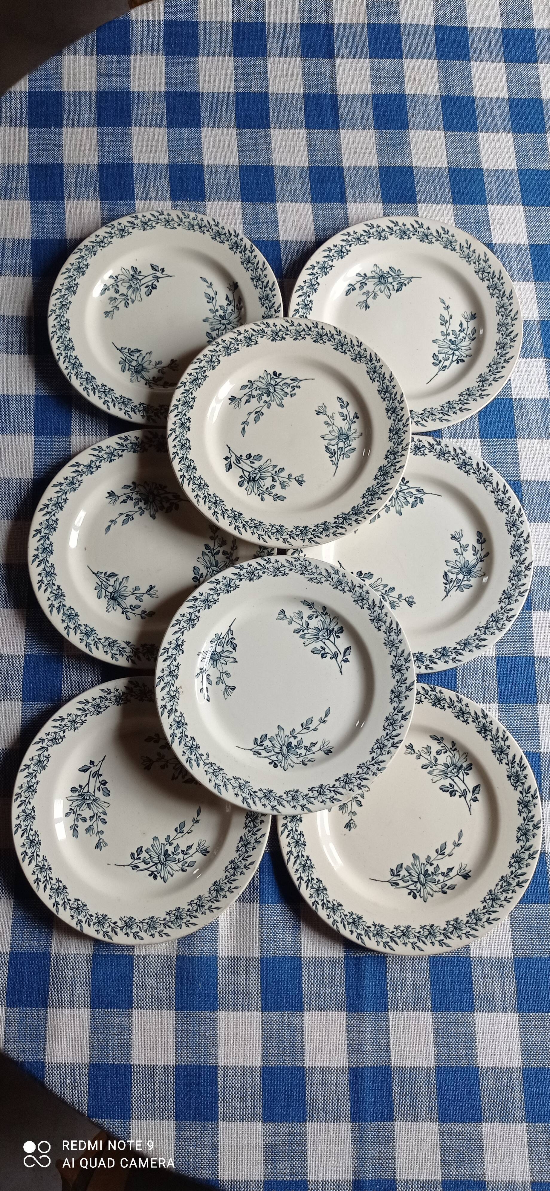 Set of eight plates earth of iron