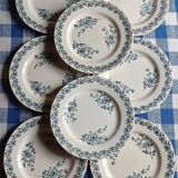 Set of eight plates earth of iron