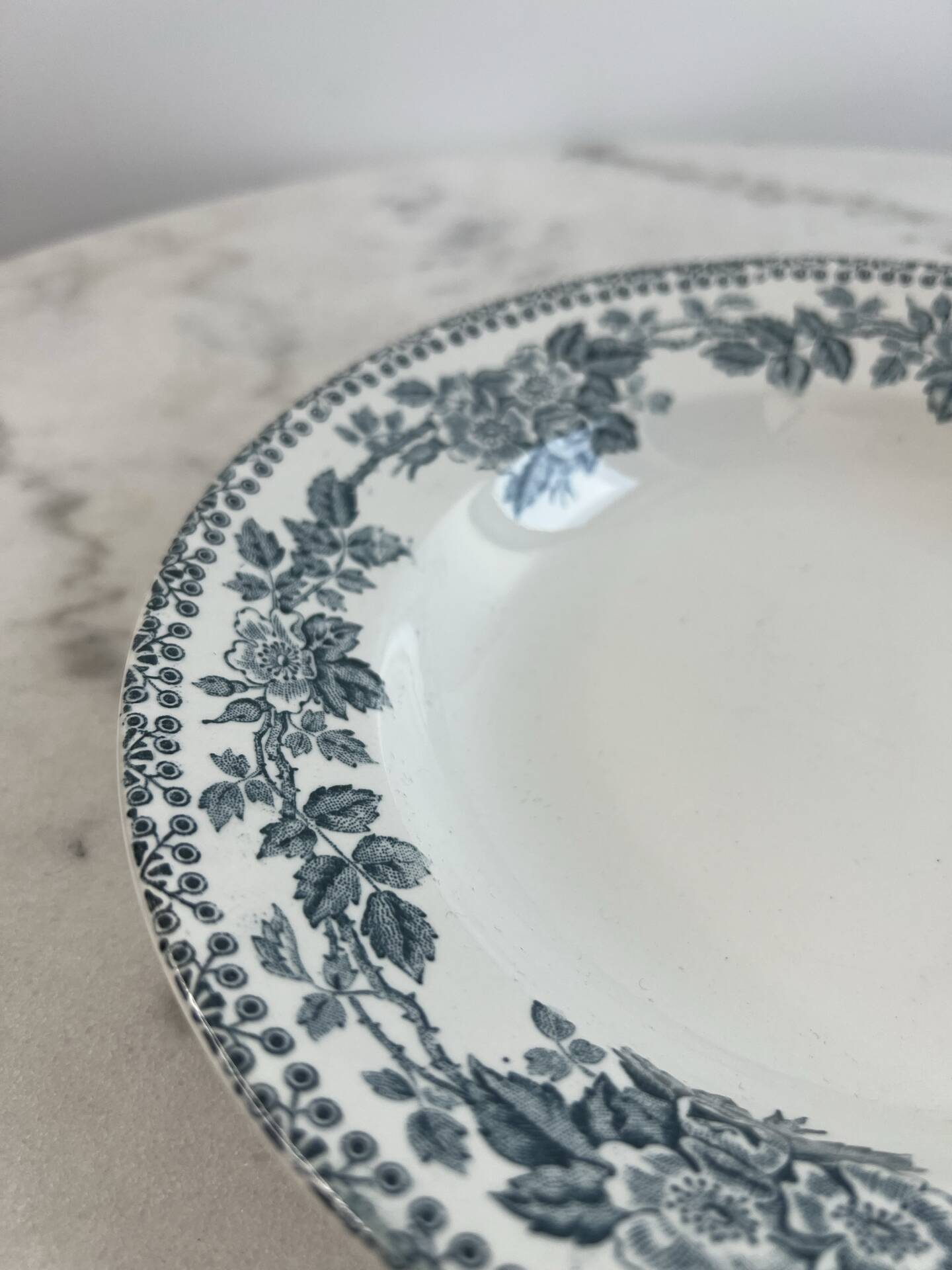 Shallow dish in ironstone Sarreguemines Digoin 22cm