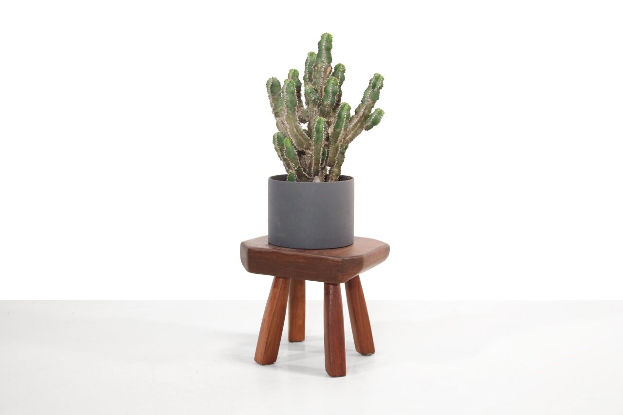 Oak stool brutalist vegetable table