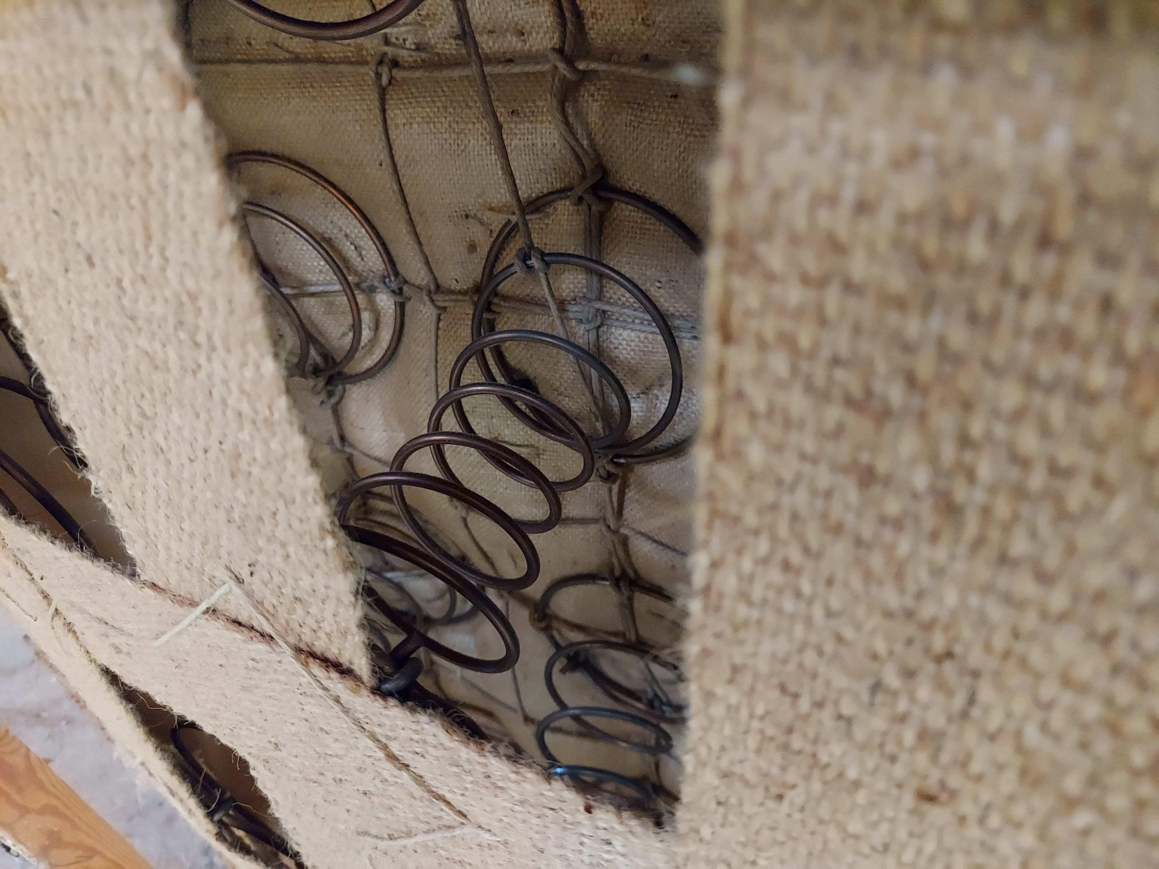 50s, Danish design, refurbished armchair, vintage velour