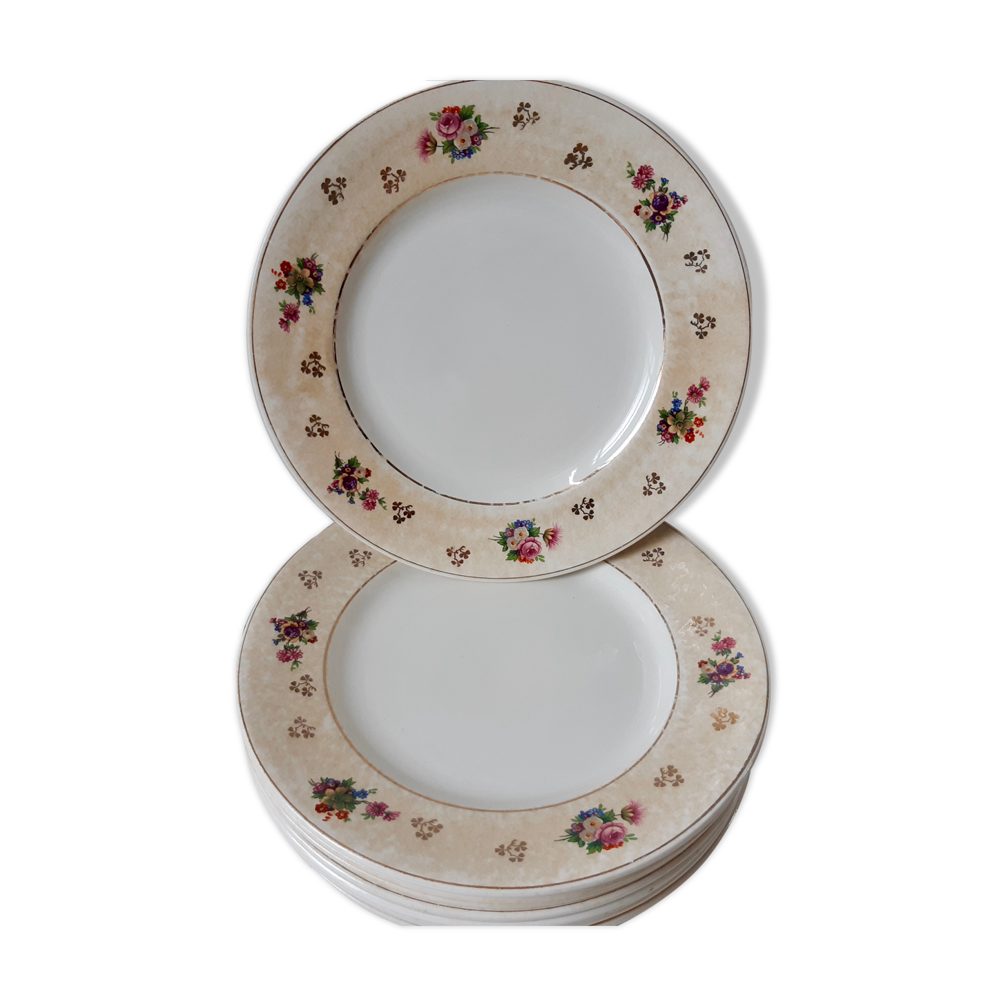 Lot de 10 assiettes plates Salins modèle Simone