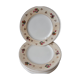 Lot de 10 assiettes plates Salins modèle Simone