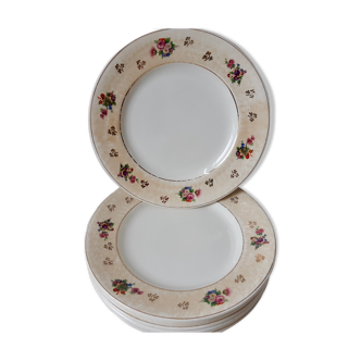 Lot of 10 flat plates Salins model Simone