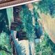 Clody.F 1974 oil painting on canvas forest landscape 110x75