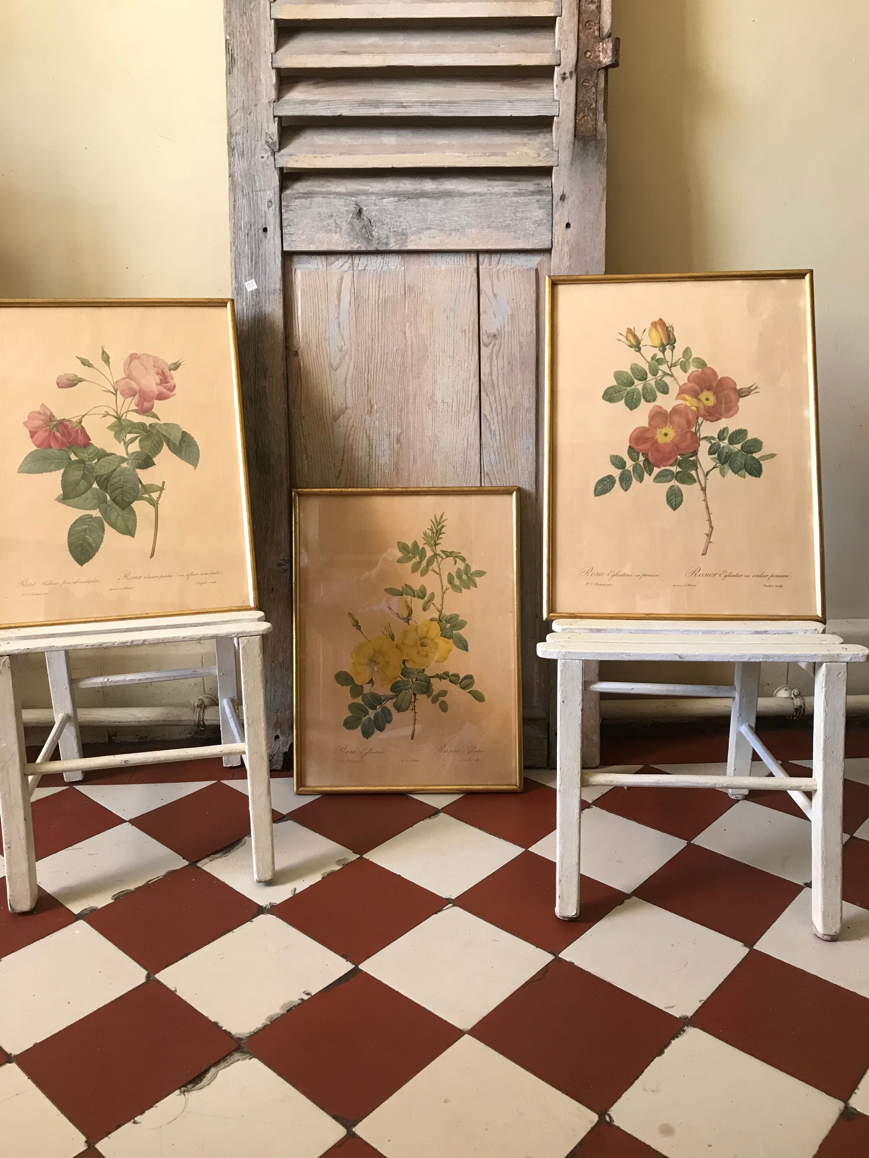 Lithographies Pierre Joseph Redouté