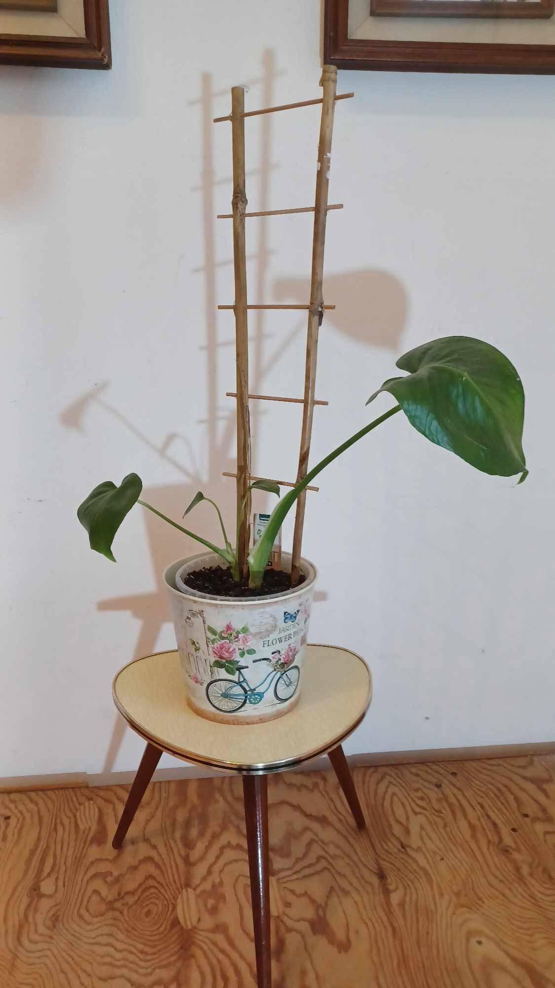 Support à plantes vintage 1970, trépied