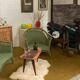 Paire de fauteuils rotin